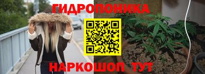 трава Аргун