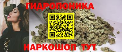 трава Аргун