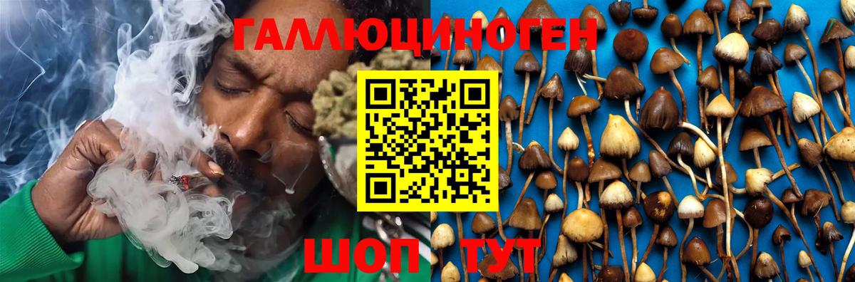 Псилоцибиновые грибы MAGIC MUSHROOMS Белорецк